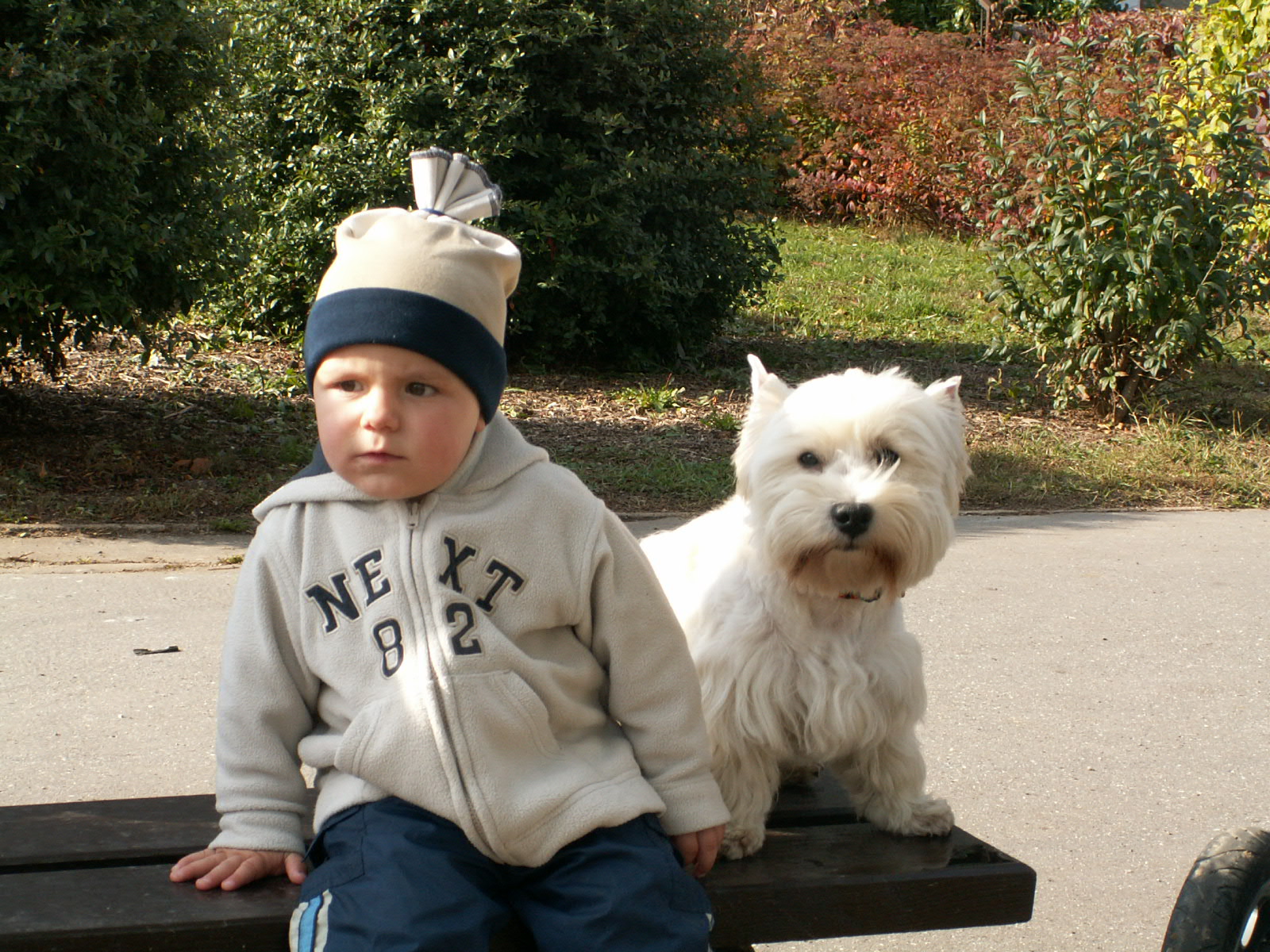 Tomášek a Whitina - podzim 2004