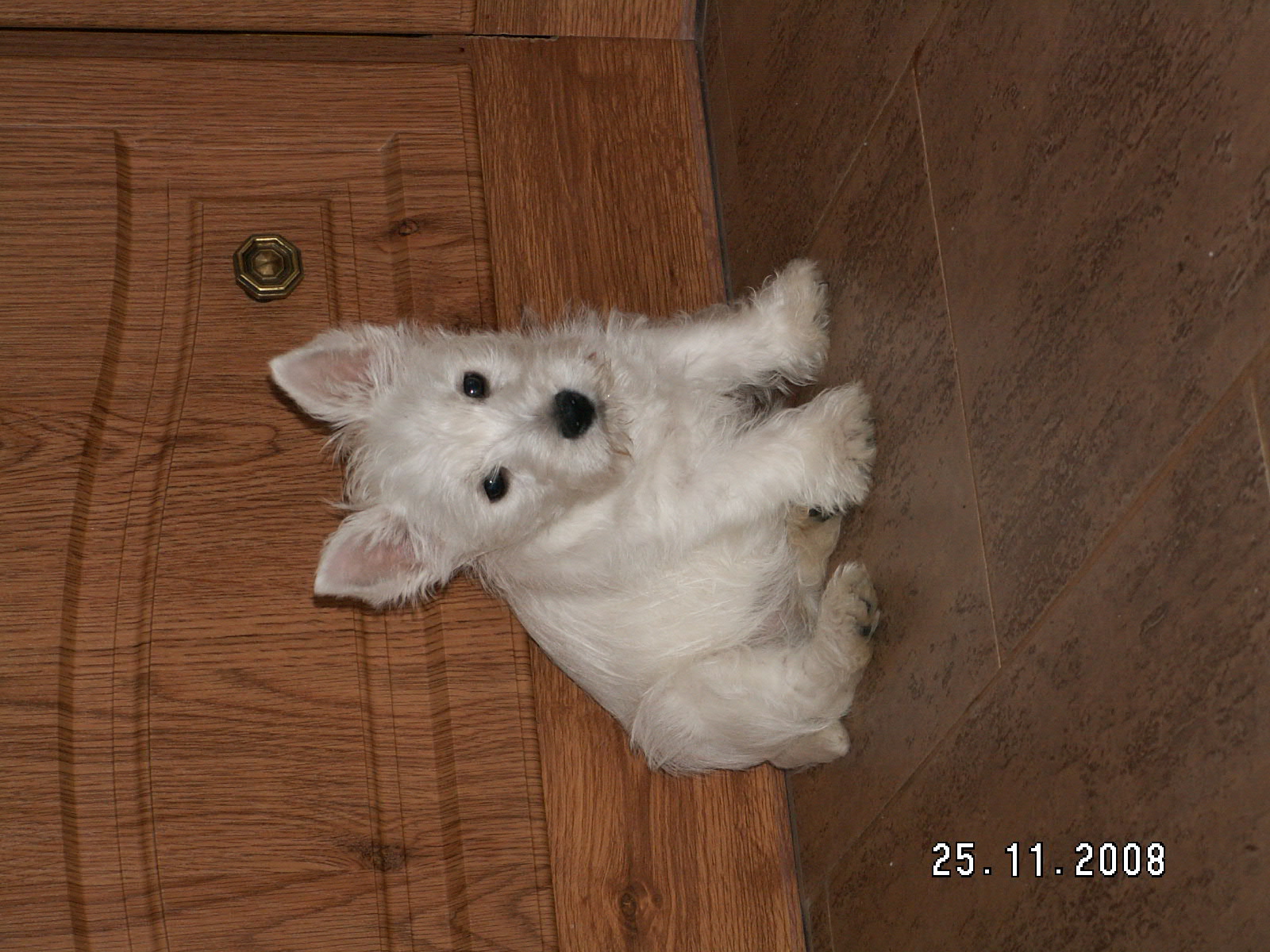 PICT0505.JPG