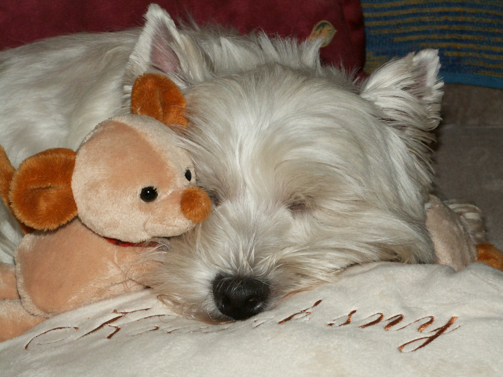 PICT0113.JPG