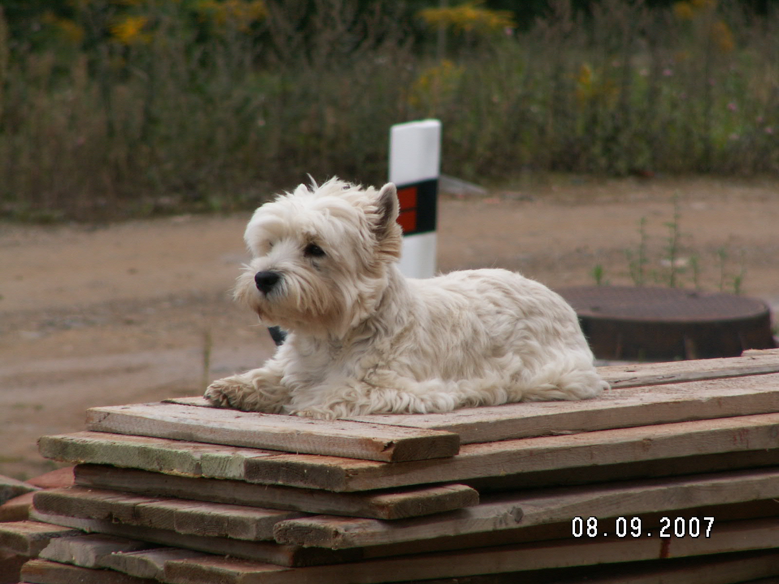 PICT0190.JPG