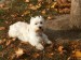PICT0410.JPG