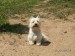 PICT0019.JPG